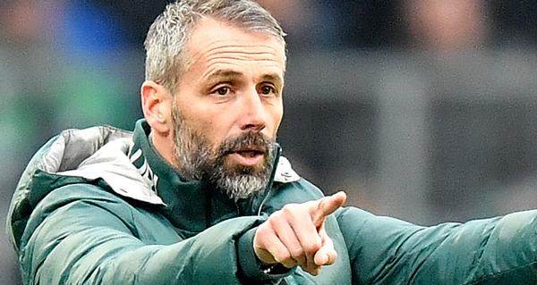 开云官网首页-第三次掏转会费挖主帅 罗泽是多特的真命天子吗？